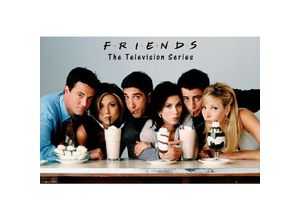 4035519120259 - Friends Poster Group with milkshakes QF