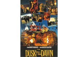 4035519120624 - - From Dusk Till Dawn Poster collage 2 (house)