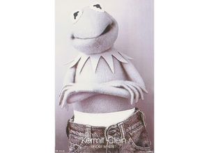 4035519136564 - - Muppets Poster kermit clein