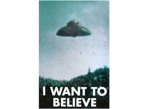 4035519236981 - - ufo Poster i Want To Believe