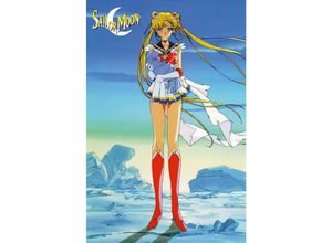 4035519259560 - - Sailor Moon Poster standing (long legs)