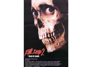 4035519263437 - - Evil Dead ii Poster us Version