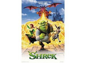 4035519336889 - - Shrek - der Tollkühne Held Poster Hauptmotiv