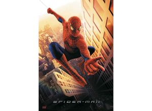 4035519357310 - - Spider-Man Regular Poster swinging