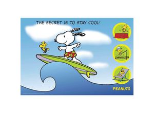 4035519369429 - Poster Snoopy Surfing (qf) (The Secret Is To Stay Cool) - Peanuts