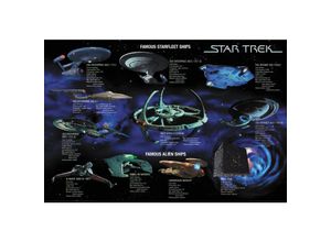 4035519379381 - Poster Famous Starfleet Ships Collage - Star Trek