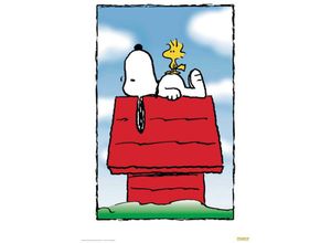 4035519386600 - Poster Snoopy & Woodstock (Hütte) - Peanuts