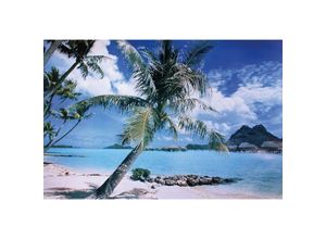 4035519389984 - - Insel Bora Bora Poster Strand Tahiti (qf)