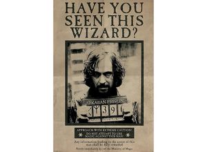 4035519410879 - Harry Potter and the Prisoner of Azkaban Have you seen this wizard (Gary Oldman als Sirius Black)