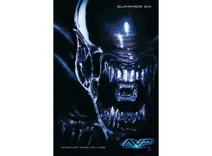 4035519417038 - - Alien vs Predator Poster Vorankündigungsplakat Alien