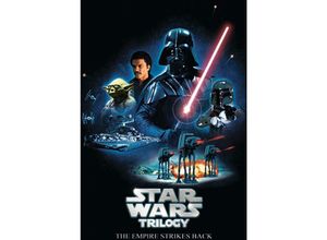 4035519445376 - Trilogy Poster The Empire Strikes Back DVD-Release Motiv - Star Wars