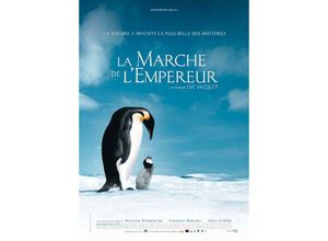 4035519481596 - - Die Reise der Pinguine Poster Dokumentarfilm (französisches Plakat)