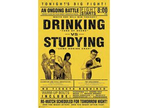 4035519802513 - - Drinking vs Studying Poster Studenten Poster