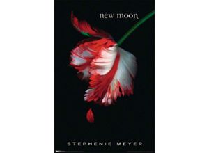 4035519962552 - Trends International - Twilight new Moon Poster US-Buch-Cover Stephenie Meyer