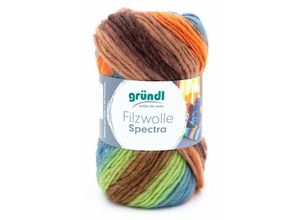 4036014114873 - Filzwolle Spectra 100 g amazonas multicolor Handarbeit - Gründl