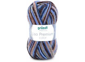 4036014179209 - Wolle Lisa Premium color 50 g braun-beige-blau-color Wolle - Gründl