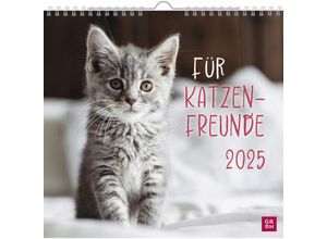 4036442011881 - Wandkalender 2025 Für Katzenfreunde