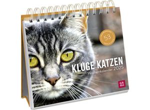 4036442012017 - Wochenkalender 2025 Kluge Katzen