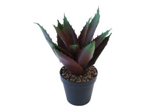 4036812117090 - Künstliche Aloe Vera im Topf mit Steindeko Höhe 27 cm Pflanze dunkelrot