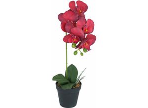 4036812117168 - Design Decoration - Künstliche Orchidee Rubinrot Lila im Topf Höhe 40 cm Kunstblume Pflanze - Rot