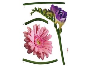 4036834388874 - KOMAR Wandtattoo Fiore Wandtattoos 50x70 cm (Breite x Höhe) selbstklebendes Wandtattoo Gr B H 50 cm x 70 cm Blumen bunt (rosa lila grün) Wandtattoos Natur