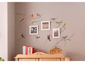 4036834397050 - KOMAR Wandtattoo Vögel Wandtattoos 50x70 cm (Breite x Höhe) selbstklebendes Wandtattoo Gr B H 50 cm x 70 cm Vögel bunt Wandtattoos Tiere 4036834397050 - KOMAR Wandtattoo Vögel Wandtattoos 50x70 cm (Breite x Höhe) selbstklebendes Wandtattoo Gr B H 50 cm x 70 cm Vögel bunt Wandtattoos Tiere