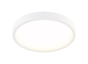 4037293005326 - EVN Planus LED-Panel rund Ø 192 cm 3000 K