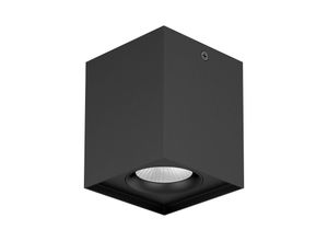 4037293029919 - EVN Kardanus LED-Deckenleuchte 9x9cm schwarz