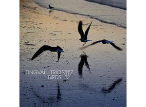 4037688919719 - Birds (180 GrBlack Vinyl) - Tingvall Trio (LP)