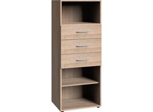 4038061009089 - Regal WIMEX Multiraumkonzept Regale Gr B H T 30 cm x 126 cm x 40 cm braun (eiche sägerau nachbildung) Wimex Breite 30 cm