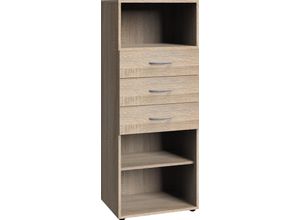 4038061009096 - Regal WIMEX Multiraumkonzept Regale Gr B H T 40 cm x 126 cm x 40 cm braun (eiche sägerau nachbildung) Wimex Breite 40 cm