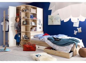4038061009942 - Bett WIMEX Joker Gästebett weiß (eichefarben san remo weiß) B146cm H71cm L205cm Betten Liegeflächen 90 oder 140x200cm farbliche Akzente am Kopfteil 4038061009942 - Bett WIMEX Joker Gästebett weiß (eichefarben san remo weiß) B146cm H71cm L205cm Betten Liegeflächen 90 oder 140x200cm farbliche Akzente am Kopfteil