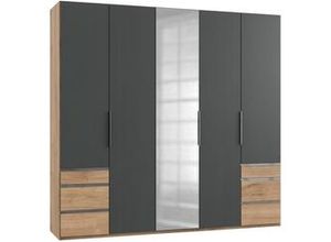 4038062013443 - Drehtürenschrank Level36A Graphit Eiche B250cm