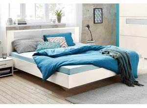 4038062052244 - Bett WIMEX Petra Pamela weiß (weiß weißglas) L210cm Betten 4038062052244 - Bett WIMEX Petra Pamela weiß (weiß weißglas) L210cm Betten