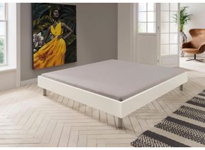 4038062069518 - Bett WIMEX Easy große Auswahl an Größen und Farben auch in Komforthöhe weiß (weiß alufarben) H46cm L210cm Betten ohne Kopfteil ideal unter Dachschrägen oder Fenster 4038062069518 - Bett WIMEX Easy große Auswahl an Größen und Farben auch in Komforthöhe weiß (weiß alufarben) H46cm L210cm Betten ohne Kopfteil ideal unter Dachschrägen oder Fenster