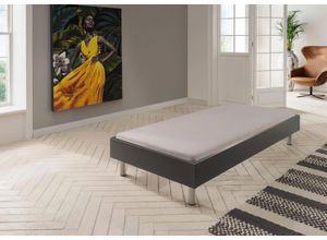 4038062101492 - Bett WIMEX Easy große Auswahl an Größen und Farben auch in Komforthöhe grau (graphit alufarben) H46cm L210cm Betten ohne Kopfteil ideal unter Dachschrägen oder Fenster