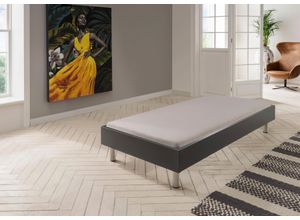 4038062101508 - Bett WIMEX Easy große Auswahl an Größen und Farben auch in Komforthöhe grau (graphit alufarben) H46cm L210cm Betten ohne Kopfteil ideal unter Dachschrägen oder Fenster