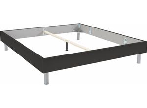 4038062101522 - Bett WIMEX Easy große Auswahl an Größen und Farben auch in Komforthöhe grau (graphit alufarben) H46cm L210cm Betten ohne Kopfteil ideal unter Dachschrägen oder Fenster 4038062101522 - Bett WIMEX Easy große Auswahl an Größen und Farben auch in Komforthöhe grau (graphit alufarben) H46cm L210cm Betten ohne Kopfteil ideal unter Dachschrägen oder Fenster