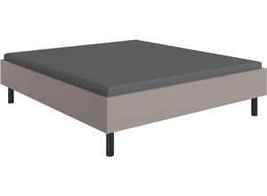 4038062101614 - Bett WIMEX Easy große Auswahl an Größen und Farben auch in Komforthöhe grau (sahara grau schwarz) H46cm L210cm Betten ohne Kopfteil ideal unter Dachschrägen oder Fenster