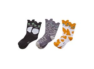 4038189272914 - Katzensocken 3er Set in Geschenkbox