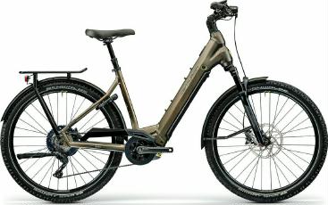 4039645511615 - E-Bike E-Fire Country R2600I 2022 2023 L frei Haus