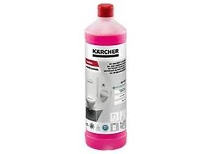 4039784662742 - SanitPro Professional WC-Reiniger Gel CA 10 C Eco