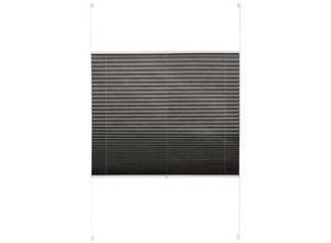 4040255064842 - Plissee Light in Grau ca 100x130cm