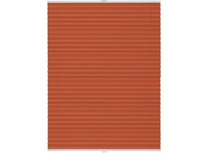 4040255960595 - Ondeco - Plissee ohne Bohren mit Klemmträger Sonnenschutz für Fenster innen  Jalousien Fenster ohne bohren Blickdicht Faltrollo Sichtschutz für