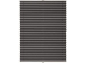 4040255963183 - Plissee ohne Bohren mit Klemmträger Sonnenschutz für Fenster innen  Jalousien Fenster ohne bohren Blickdicht Faltrollo Sichtschutz für Tür