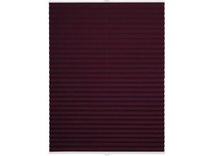 4040255963671 - Plissee ohne Bohren mit Klemmträger Sonnenschutz für Fenster innen  Jalousien Fenster ohne bohren Blickdicht Faltrollo Sichtschutz für Tür