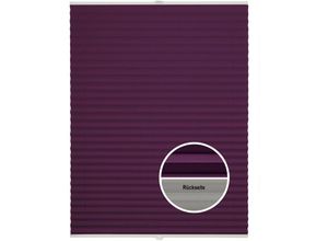 4040255968935 - Plissee Thermo ohne Bohren mit KlemmträgerSonnenschutz für Fenster innen lichtschutz und Blickdicht Faltrollo Sichtschutz für Tür Jalousie Rollo