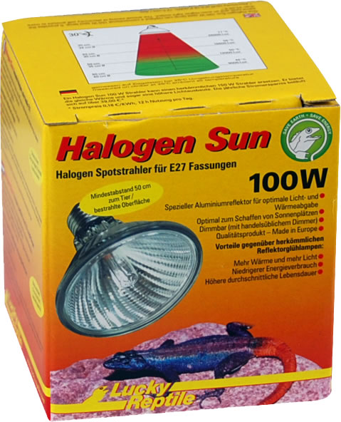 4040483634039 - Halogen Sun 100 W