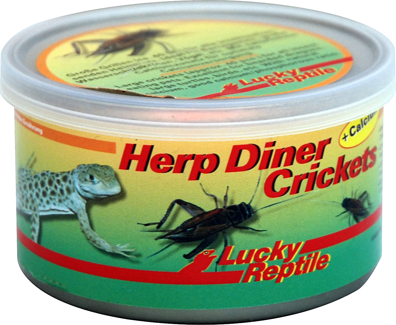 4040483673113 - Herp Diner Crickets Grillen groß - 35 g