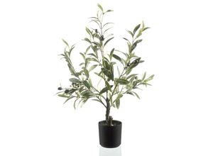 4041104078331 - casa NOVA Kunstpflanze OLIVE (BHT 35x62x35 cm) BHT 35x62x35 cm grün Pflanze Kunstblume Zimmerpflanze